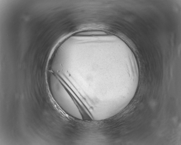 X0000080201104200612302331