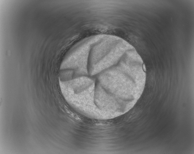 X0000080201105200612302330