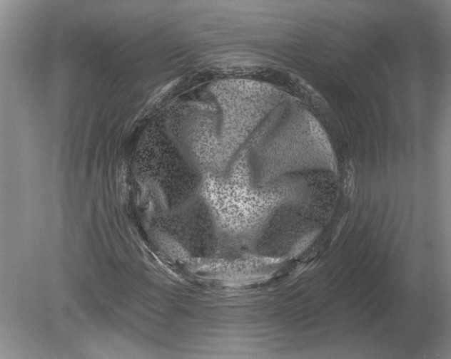 X0000080201108200612302330