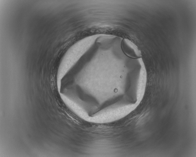 X0000080201109200612302330