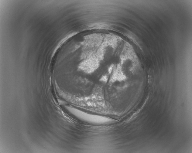 X0000080201117200612302330