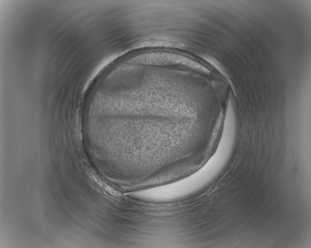 X0000080201120200612302330