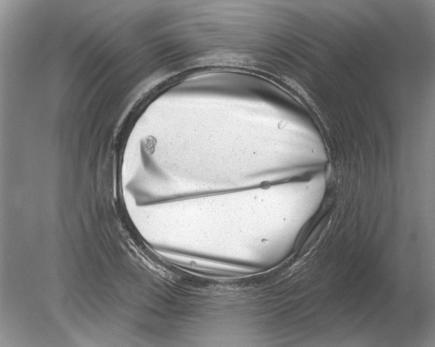 X0000080201123200612302331