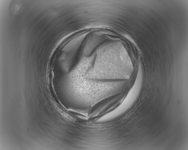 X0000080201124200612302331