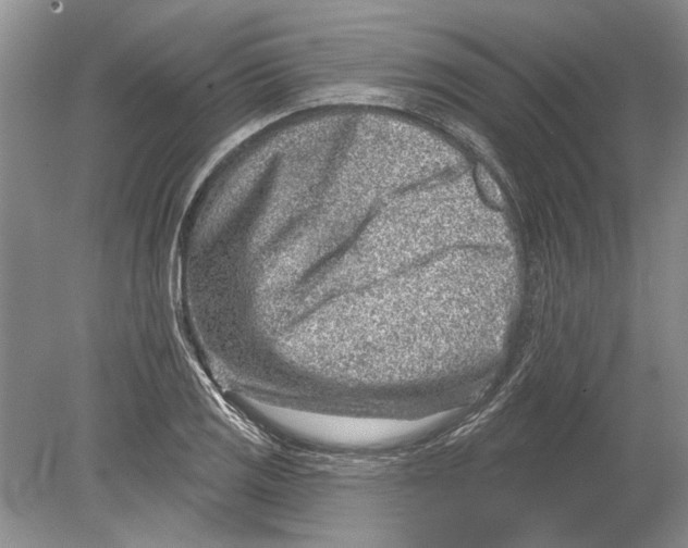 X0000080201125200612302331