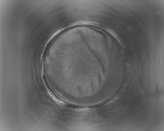 X0000080201127200612302331