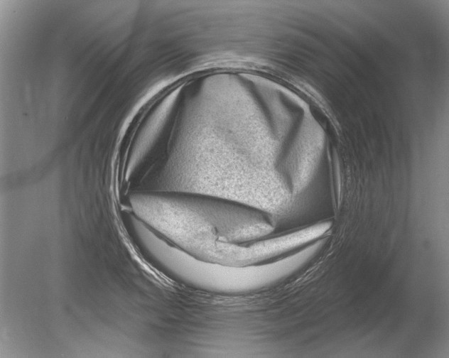 X0000080201128200612302331