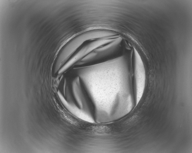 X0000080201129200612302331