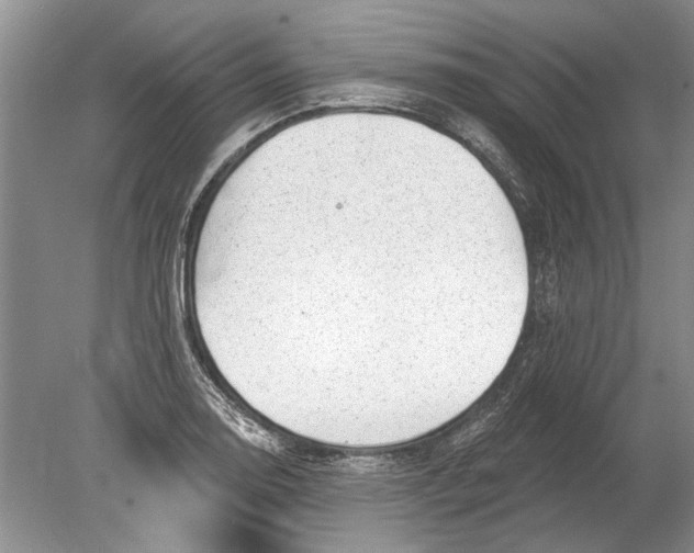 X0000080201130200612302331