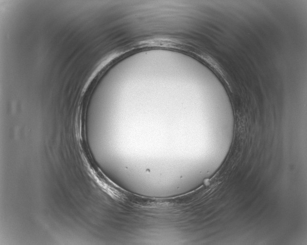 X0000080201131200612302331