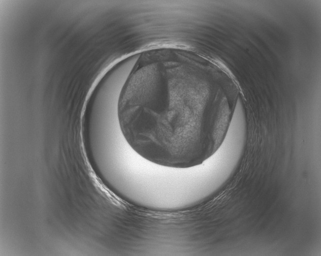 X0000080201132200612302331