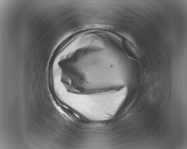 X0000080201135200612302331