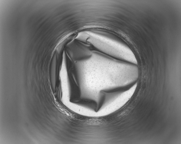 X0000080201137200612302331