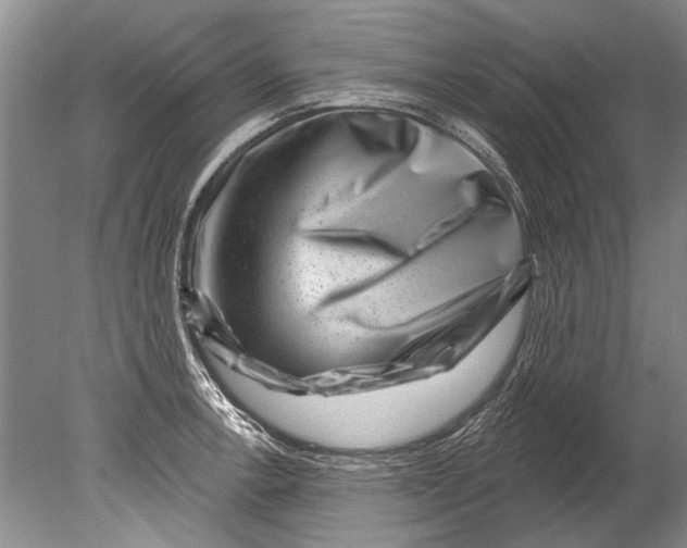 X0000080201138200612302331