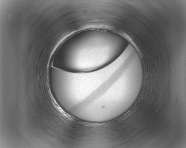 X0000080201140200612302331