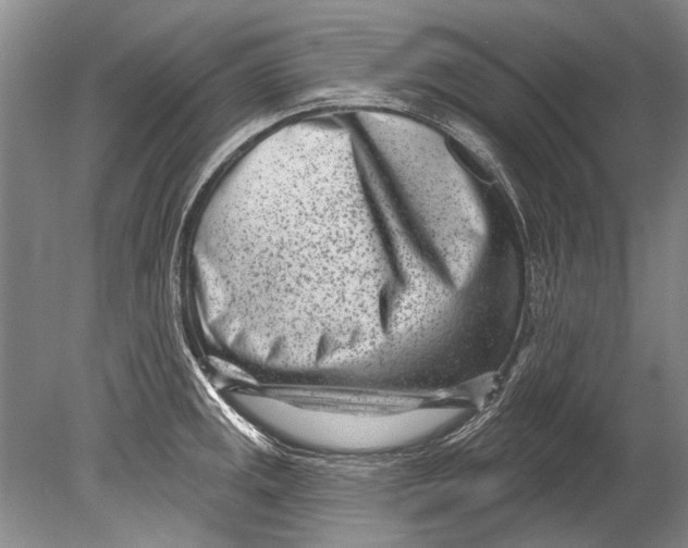 X0000080201141200612302331