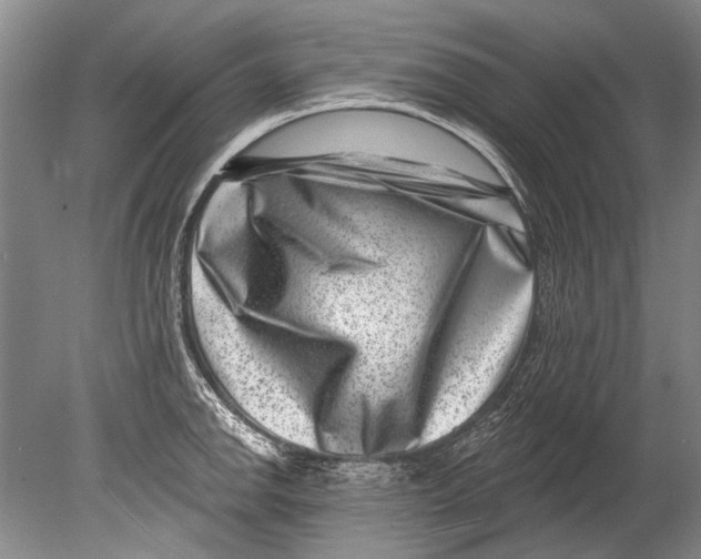 X0000080201142200612302331