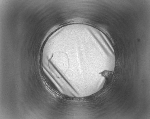 X0000080201146200612302331