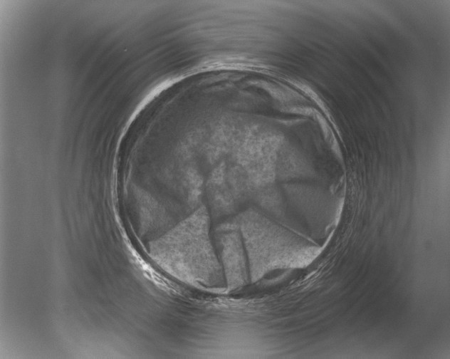 X0000080201147200612302331