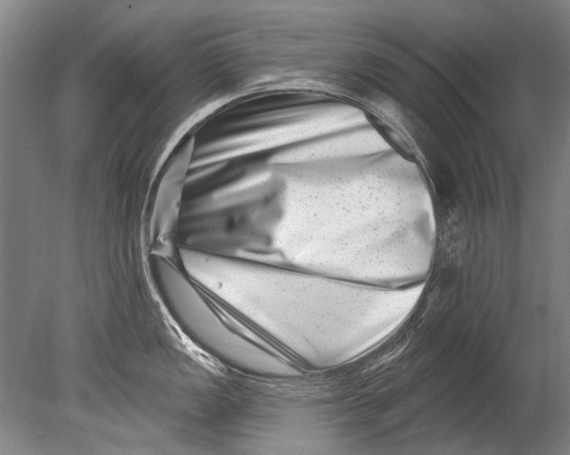 X0000080201149200612302331