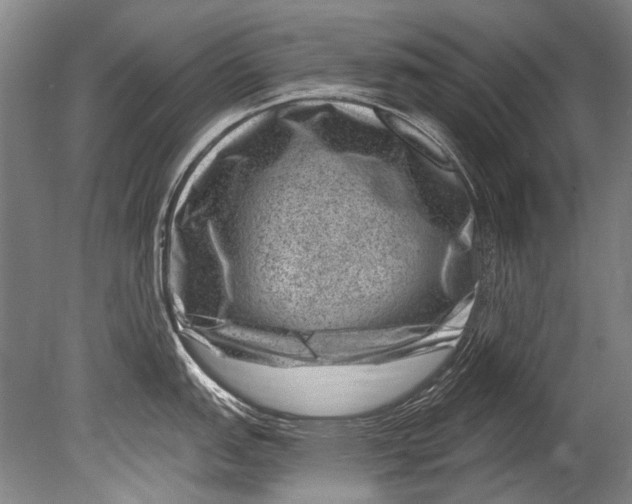 X0000080201151200612302331