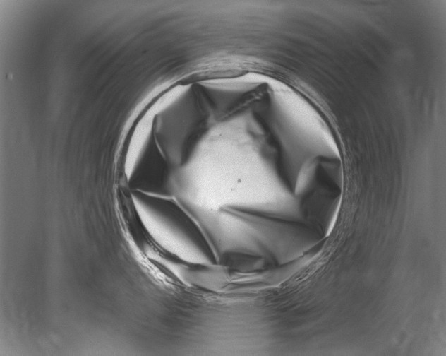 X0000080201152200612302331