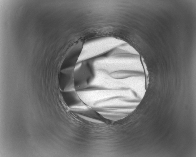 X0000080201153200612302330