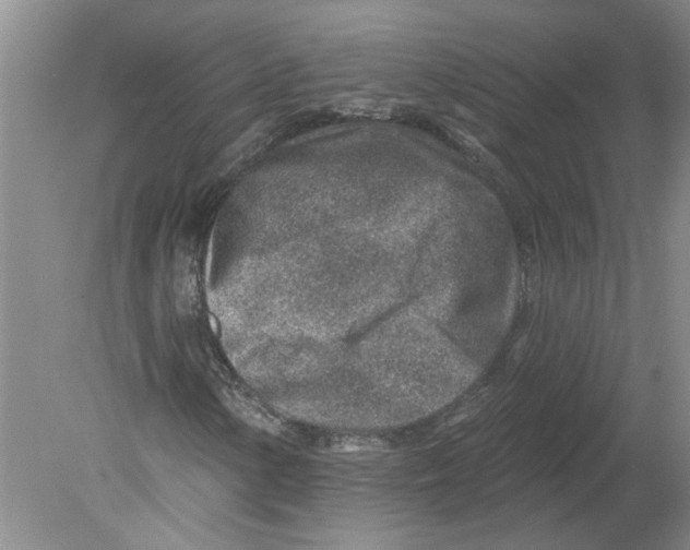 X0000080201154200612302330