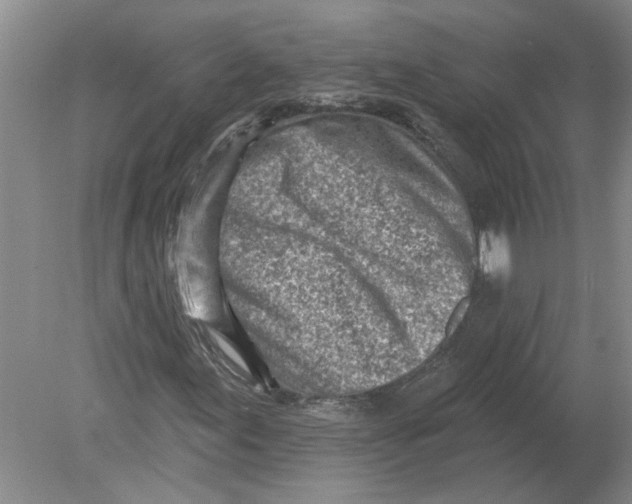 X0000080201155200612302330