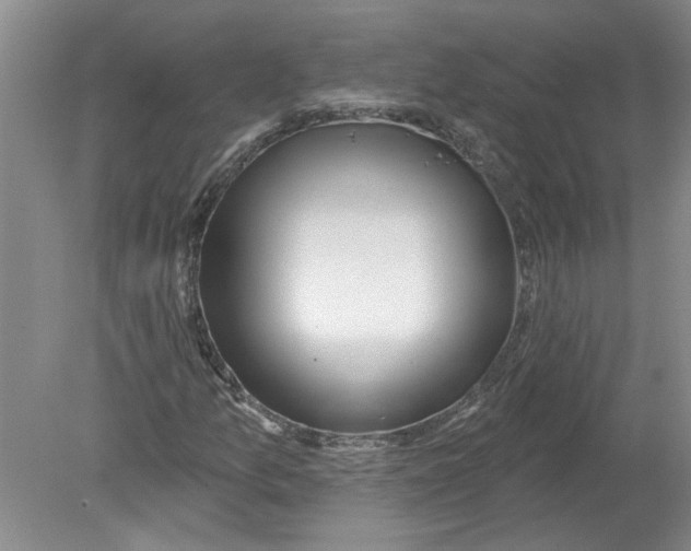 X0000080201157200612302330