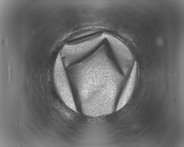 X0000080201159200612302330