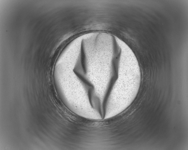 X0000080201166200612302330