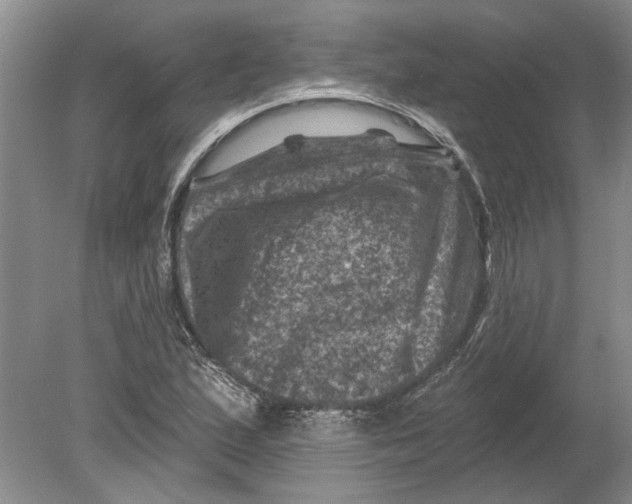 X0000080201167200612302330