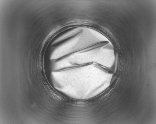 X0000080201172200612302330