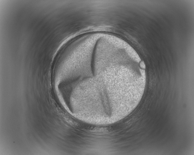 X0000080201174200612302330