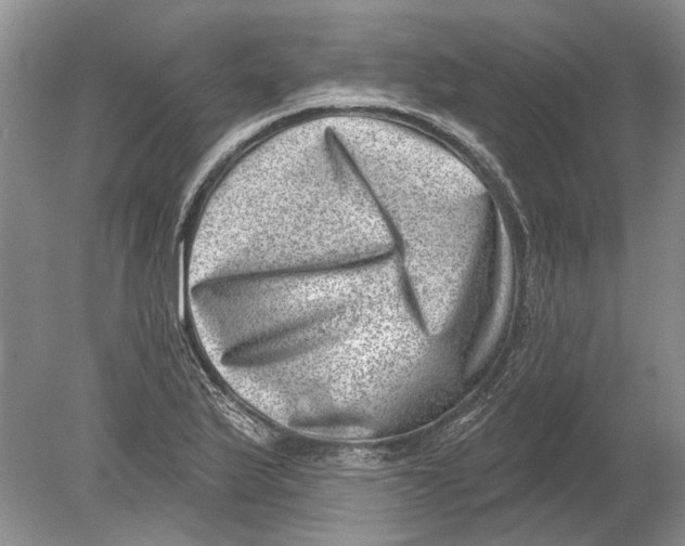 X0000080201175200612302330