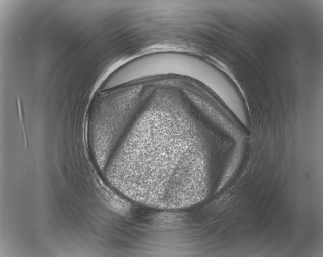 X0000080201179200612302330