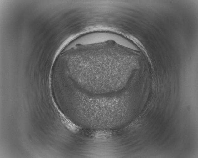 X0000080201183200612302330