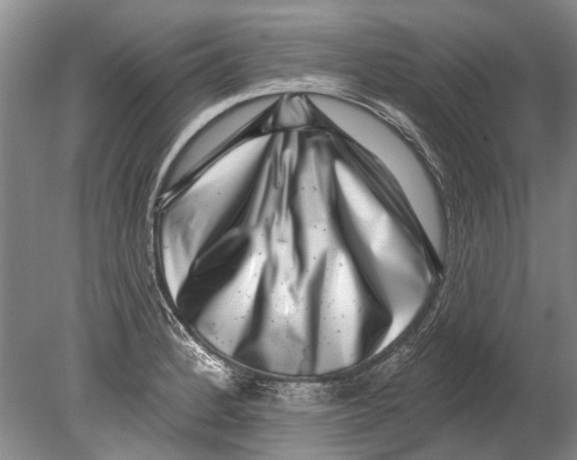 X0000080201184200612302330