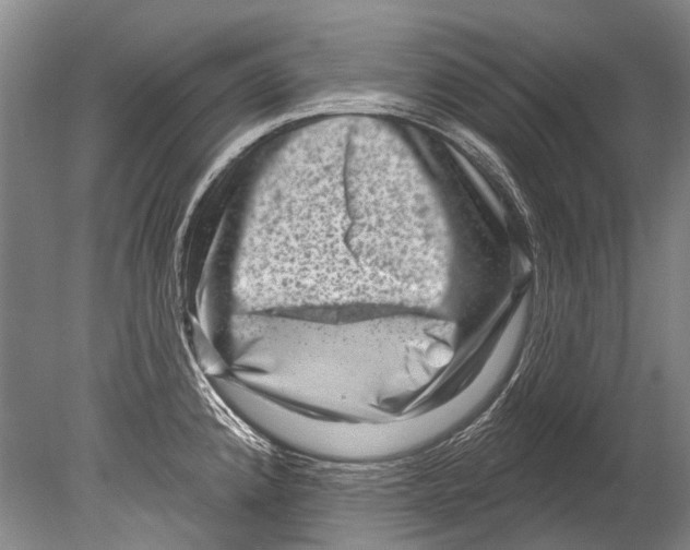 X0000080201192200612302330