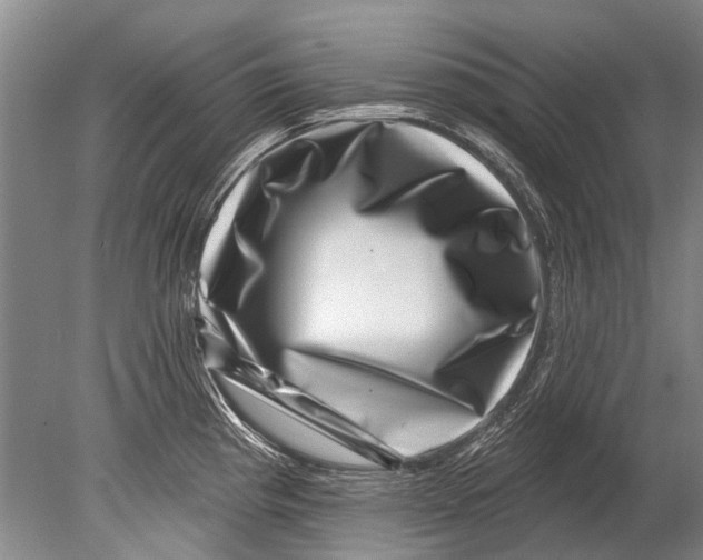 X0000080201193200612302330