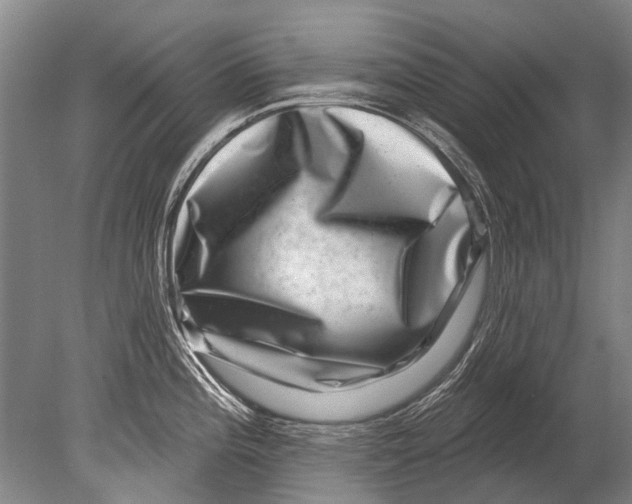 X0000080201196200612302329