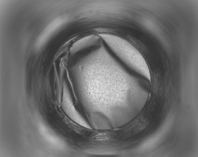 X0000080201198200612302329