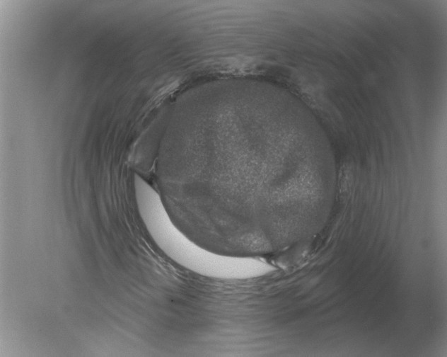 X0000080201202200612302329