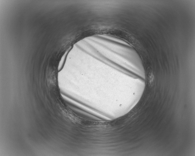 X0000080201204200612302329