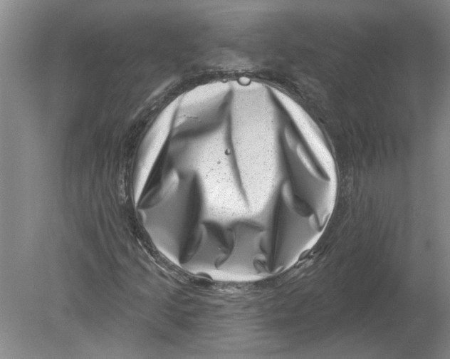 X0000080201205200612302329