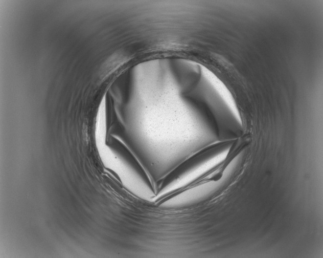 X0000080201209200612302329