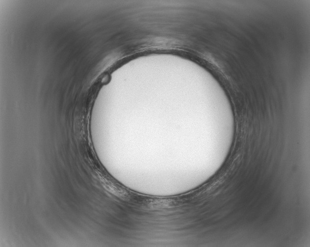 X0000080201211200612302329