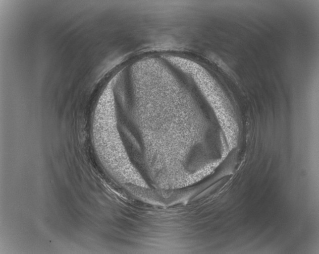 X0000080201213200612302329