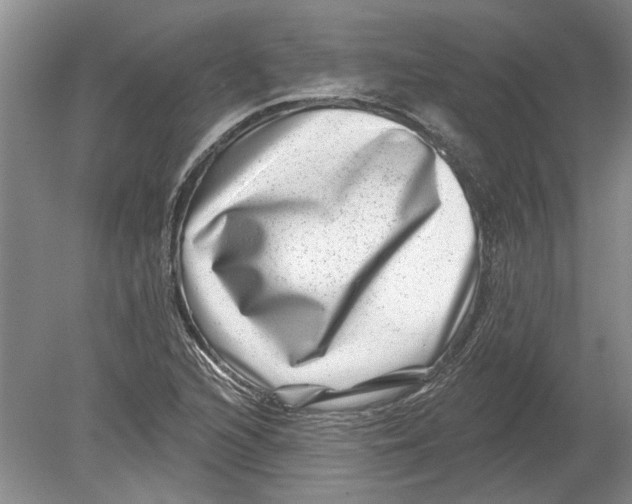 X0000080201216200612302329